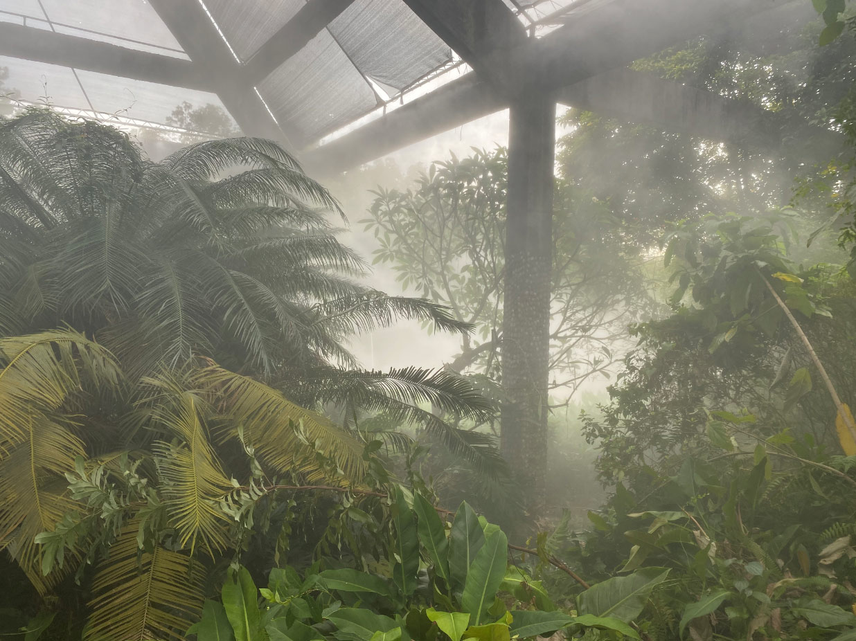 湛江南國(guó)熱帶花園噴霧降溫系統(tǒng)